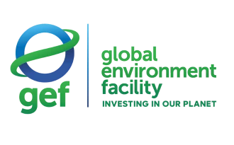 Fonds pour l'Environnement Mondial